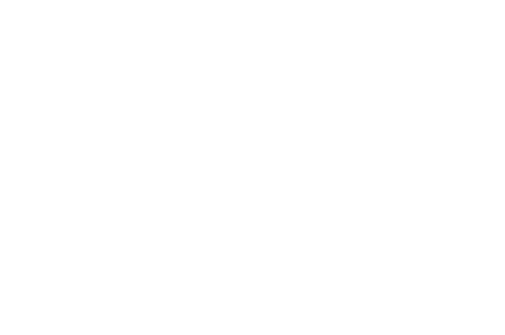 Birincilik Ödülü